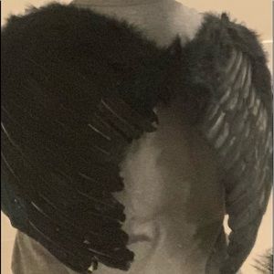 Black Wings (Halloween Costume Accessories)